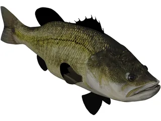 Largemouth Bass 3D Model preview