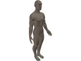 Human 3D Model preview