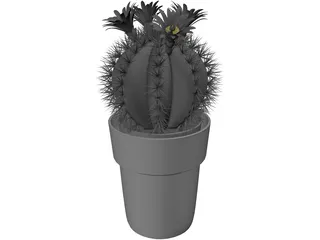 Cactus Pottet Round 3D Model preview