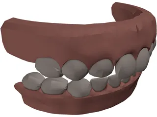 Jaw and Teeth 3D Model preview
