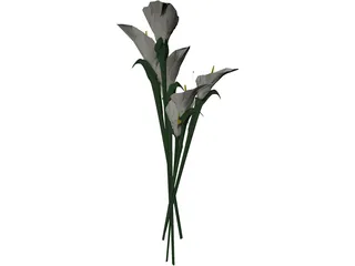 Arum Flower 3D Model preview