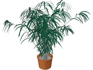 Indoor Plant 3D Model preview