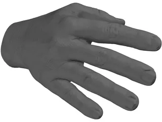 Right Hand Male 3D Model preview