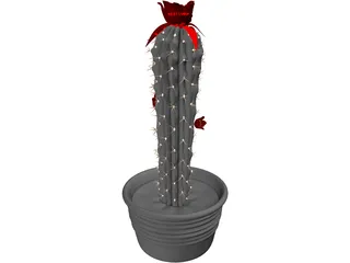Castus 3D Model preview