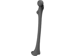 Femur Bone 3D Model preview