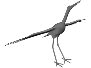 Ciconia Stork 3D Model preview