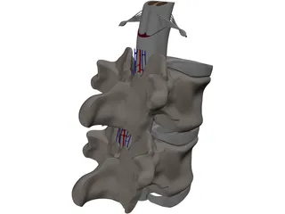 Vertebra 3D Model preview