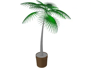 Palm Tree Plant 3D Model preview