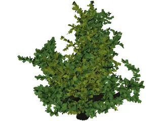 Oak Tree 3D Model preview