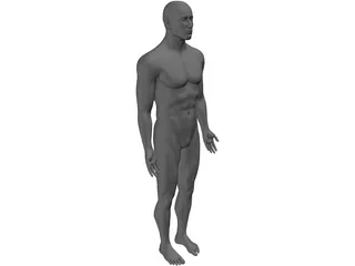Man 3D Model preview