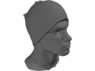 Head for Printing Decimated 3D Model preview