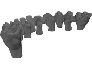Reduced Mandibula Arcade 3D Model preview