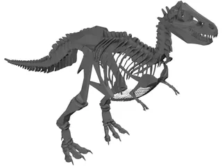 T-Rex Skeleton 3D Model preview