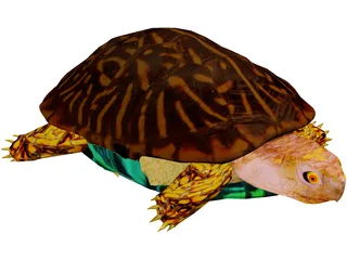 Turtle 3D Model preview