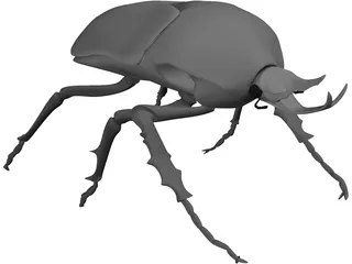 African Rose Beetle 3D Model preview