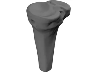 Human Knee 3D Model preview