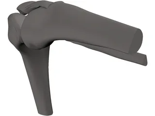 Knee Joint Human 3D Model preview
