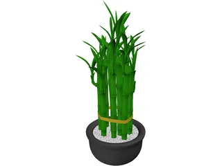 Lucky Bamboo 3D Model preview