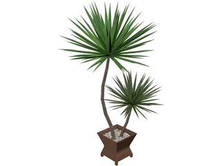 Yucca Plant 3D Model preview