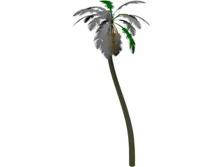 Tree Palm 3D Model preview