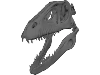 Dinosaur Skull 3D Model preview