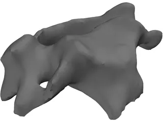 Vertebra 3D Model preview
