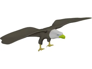 Eagle Bald 3D Model preview