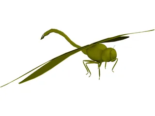 Dragon Fly 3D Model preview