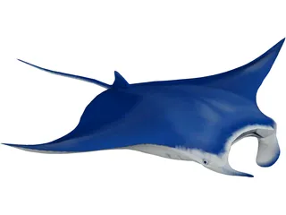 Manta Ray 3D Model preview