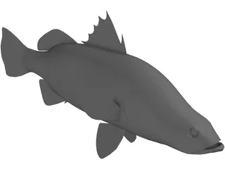 Barramundi 3D Model preview