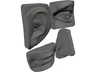 Michelangelo 3D Model preview