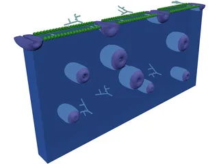 Cell Membrane 3D Model preview