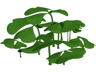 Clover Patch 3D Model preview