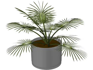 House Plant 3D Model preview