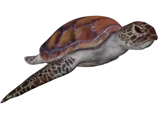Turtle 3D Model preview