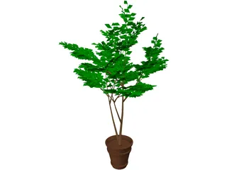 Potted Tree 3D Model preview