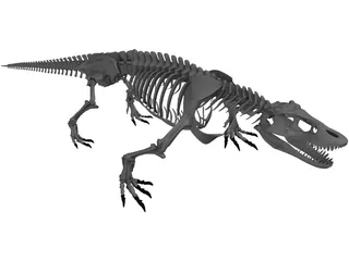 Komodo Dragon Skeleton 3D Model preview