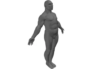 Male Body 3D Model preview