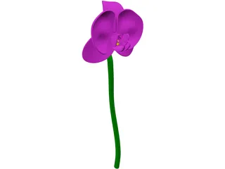 Orchid Flower 3D Model preview