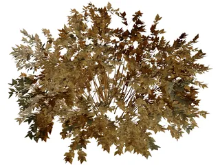 Onyx Bush 3D Model preview