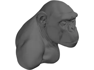 Chimp Head 3D Model preview