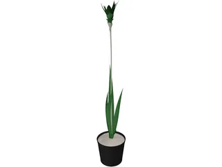 Potted Plant 3D Model preview
