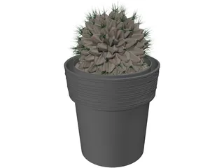 Potted Cactus Plant 3D Model preview
