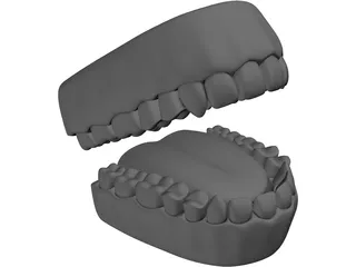 Teeth 3D Model preview