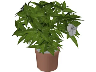 Potted Plant 3D Model preview