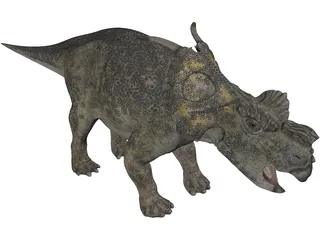 Achelousaurus 3D Model preview