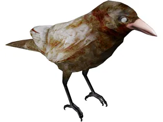 Bangor Crow 3D Model preview