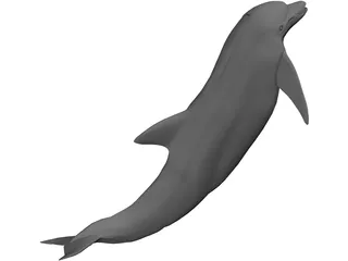 Dolphin 3D Model preview