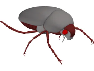 Bug (Meikever In Dutch) 3D Model preview