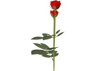 Red Rose 3D Model preview